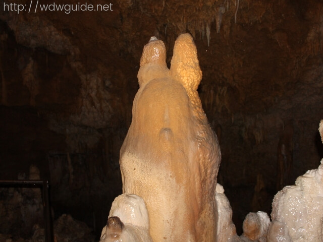 石垣島鍾乳洞内のトトロに似ている鍾乳石