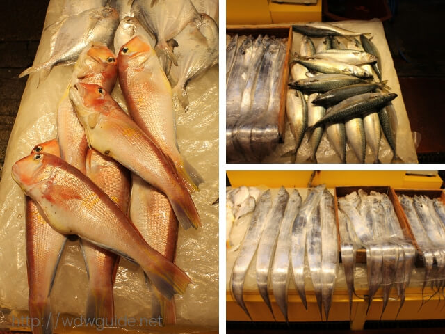 韓国済州島の東門在来市場の魚