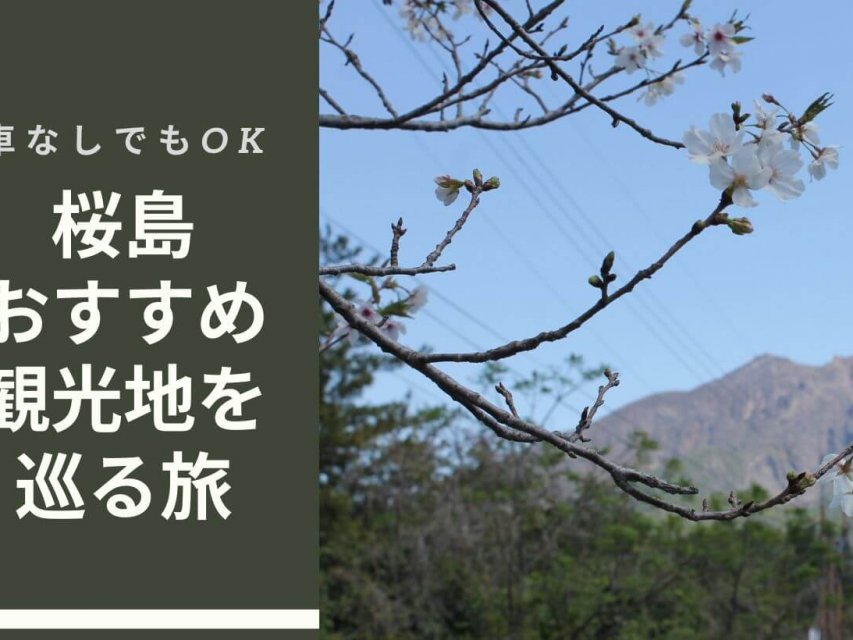 おすすめ桜島観光バス 桜島を走る観光バス サクラジマアイランドビュー かごんまそらバス などを比較 極上バケーションガイド
