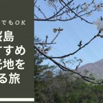 桜島観光ブログ