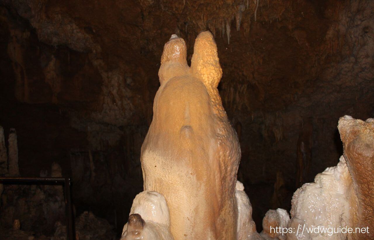 石垣島鍾乳洞内のトトロに似ている鍾乳石