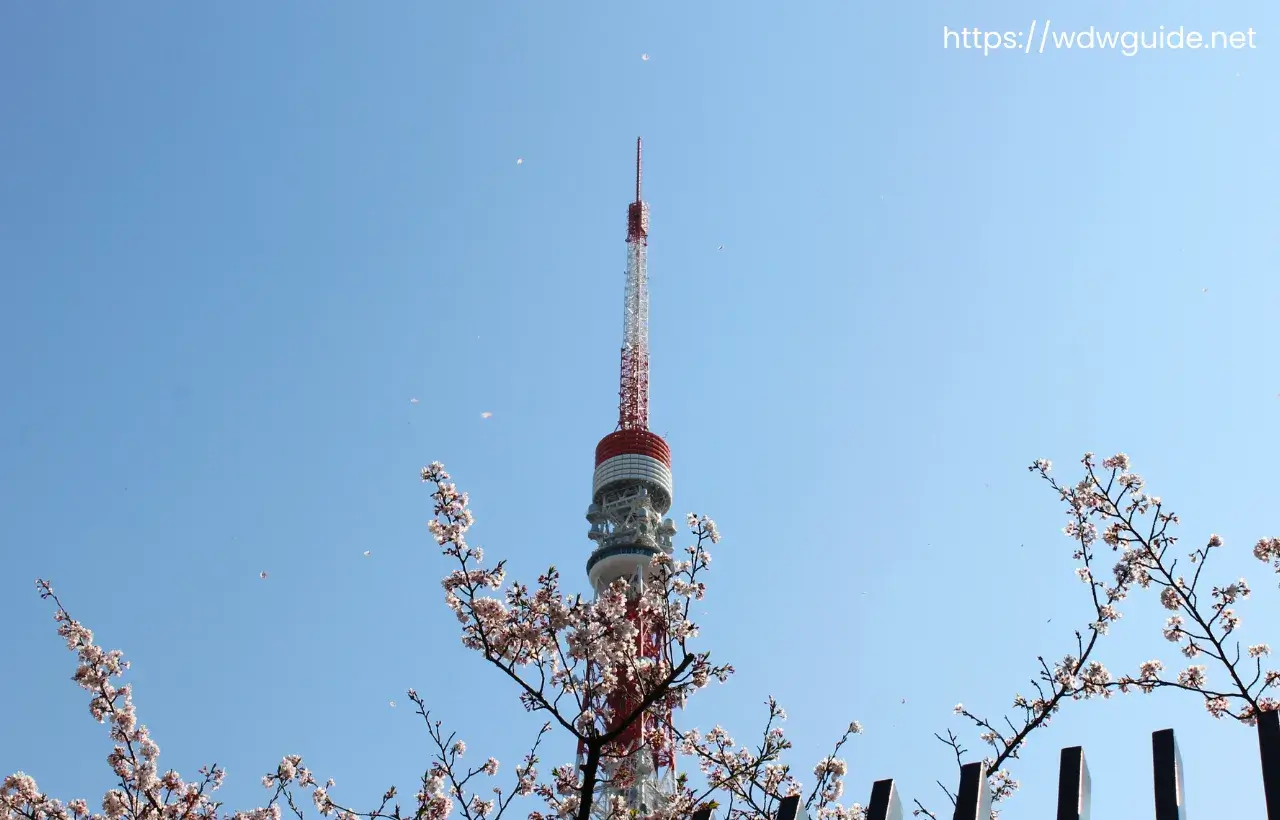 オランダ大使公邸から見た東京タワーと桜