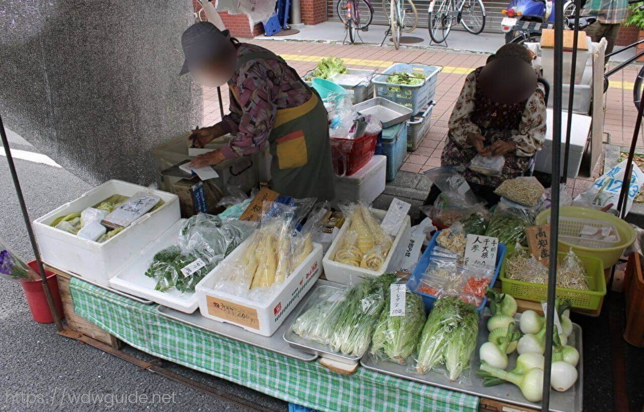 高知の日曜市に並ぶ野菜