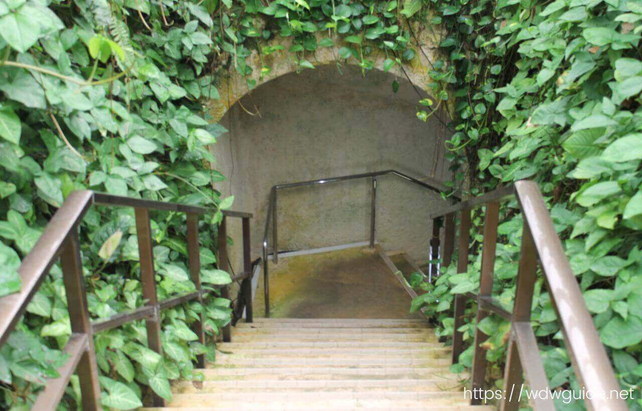 石垣島鍾乳洞の入り口の階段