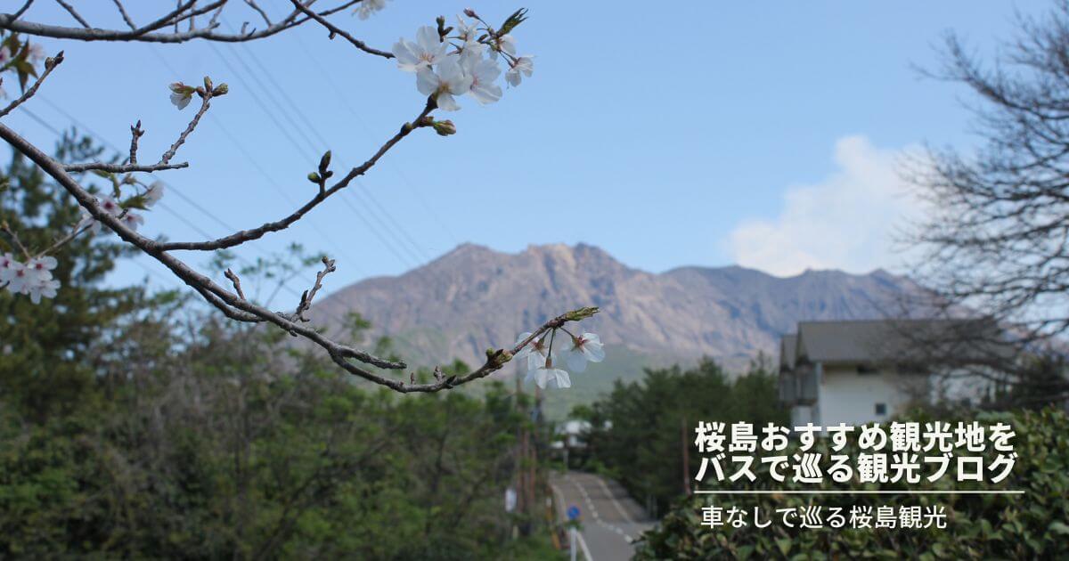 桜島と桜