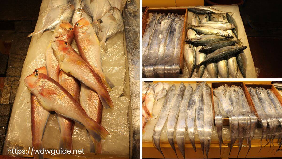 韓国済州島の東門在来市場の魚