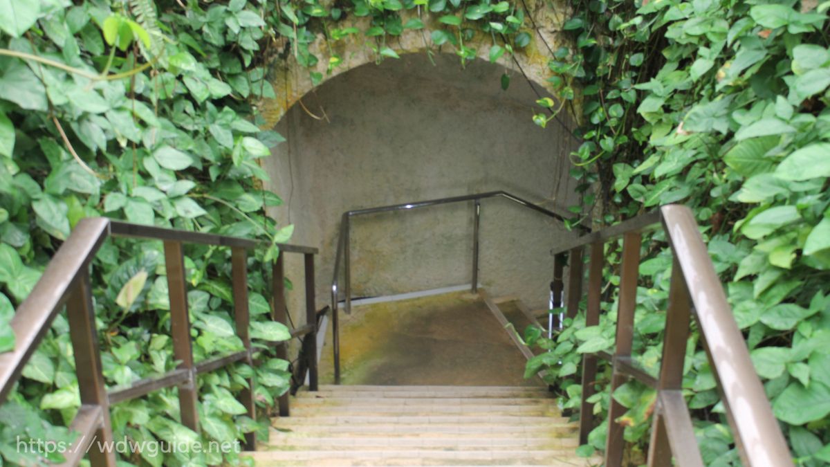 石垣島鍾乳洞の入り口の階段