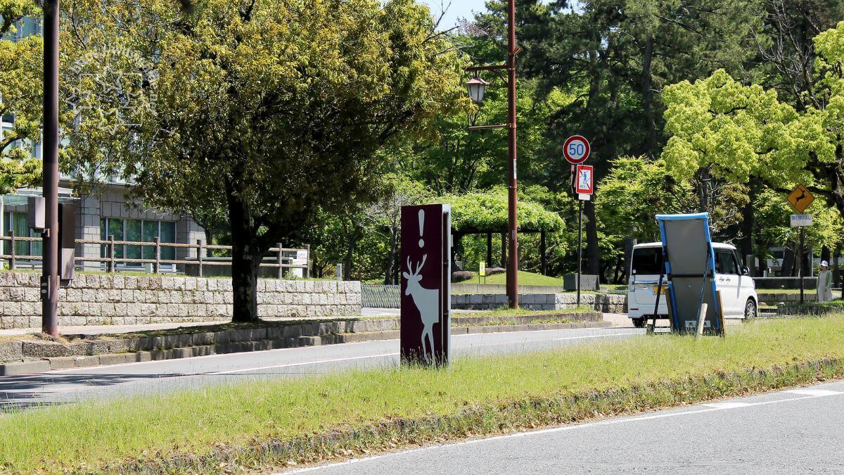 道路の中央にあった鹿注意の看板