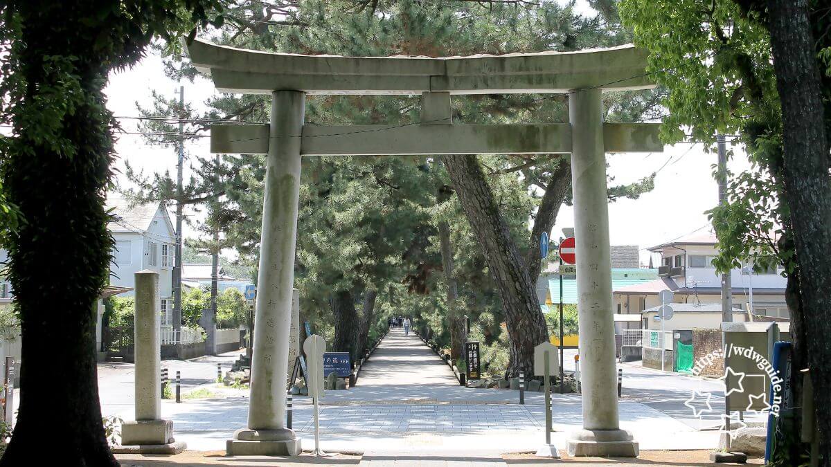 御穂神社の鳥居とその先に見える参道神の道