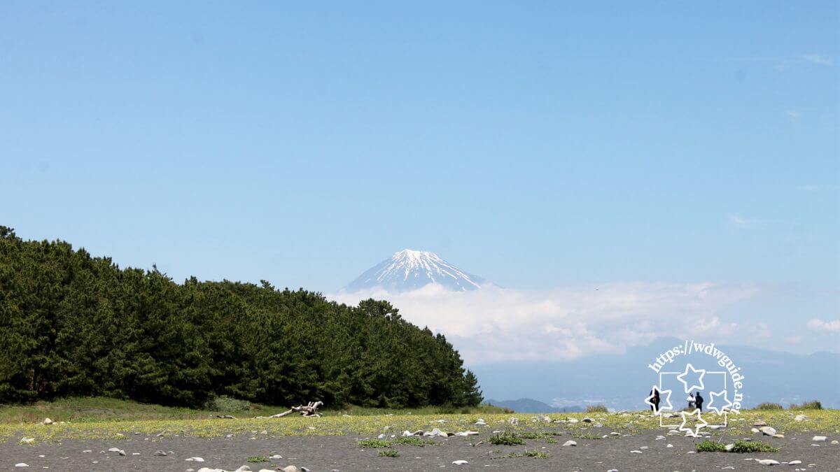 三保松原の海岸から見た富士山