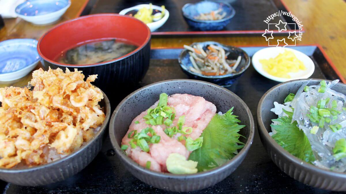 清水魚市場 河岸の市で食べた選べる3食丼