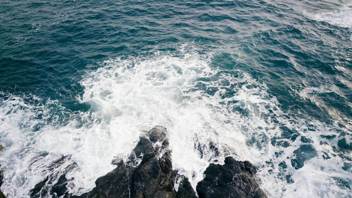 荒れた海